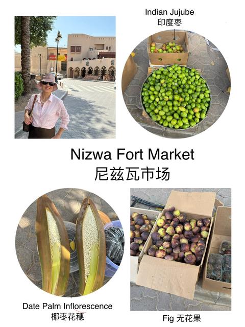 Nizwa Fort　尼兹瓦要塞